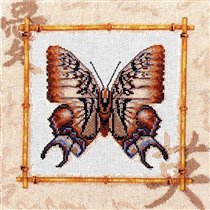 Золотое руно