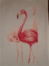 Фламинго
