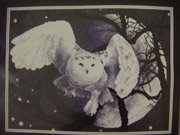 Белая сова (Panna)