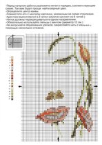 Лицо-цветы (Кларт)