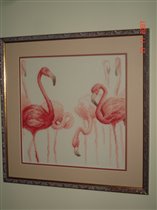 Фламинго (Золотое Руно)
