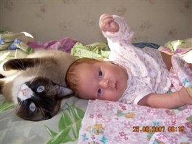 Сладкая парочка: сын - Матвейка и кошка - Тоська