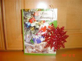 от Ирины- МС