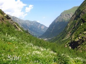 Домбай - лето