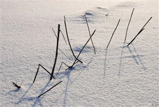 Снежные иероглифы