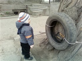 А кто это колесо к дееву привязал, а?