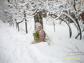 Под заснеженным кустом!