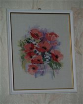 Watercolors poppy Derwentwater