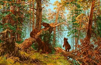 Мишки в лесу