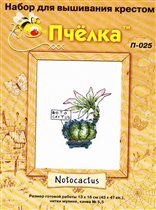 Notocactus (Пчёлка)