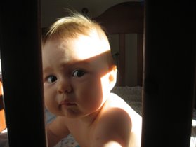 Сижу за решеткой