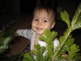 А вот и елка!