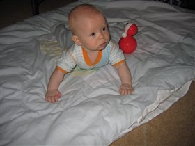 На ладошках