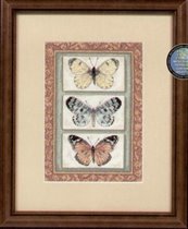 06914 - Butterfly Triplex