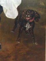 Фрагмент, собака