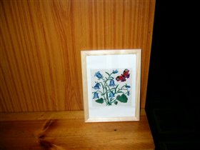 колокольчики  цветы и бабочка