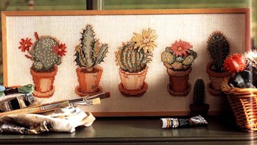 5 cactuses