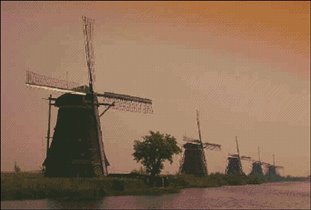 Windmills at Dawn