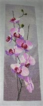 Heritage_Orchid