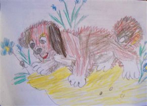 цветные карандаши