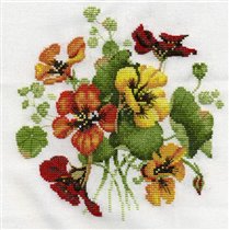 VPNP698 Nasturtium Posy   - 2