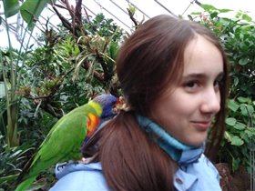 Немецкий попугай знакомится с русской девочкой:-)