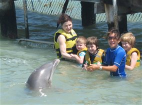 Плаваем с дельфинами