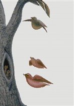 Девушка-птица