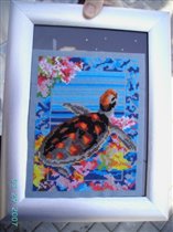 морское дно