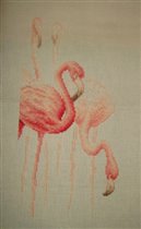 фламинго