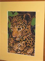 Риолис 316 «Леопарды»