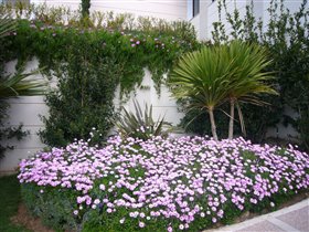 Oceania Club,  около главного здания