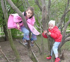 Дети на дереве
