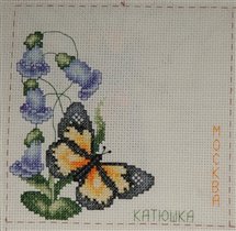 Сюжет для Натальи Петруниной