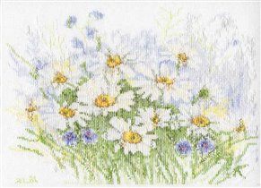 Ромашки изнанка