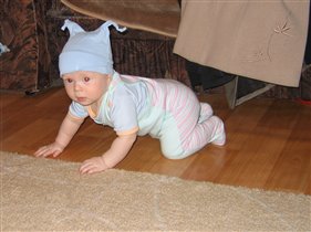 сороконожка...