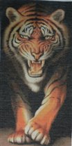 Тигр с горделивой походкой (Болгария)