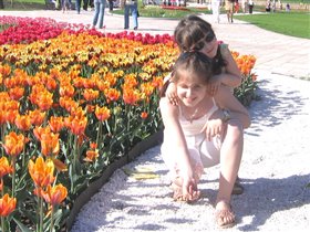 Сестринская любовь среди оранжевых тюльпанов :)