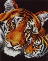 090. Тигрица с тигренком на черном фоне