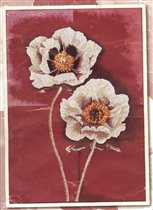 Картинка с упаковки