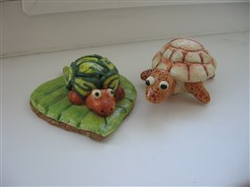 Ох, уж эти черепахи!