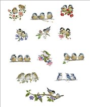 Санечка (Россия, Питер)