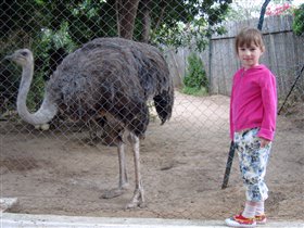 Маша в зоопарке