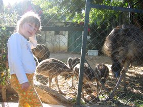 Маша и страусята