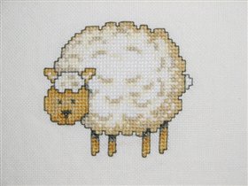 Lanarte sheep