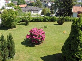 Панорама 1 сада с балкончика нашей спальни (Panorama 1 of garden from balcony of our bedroom)