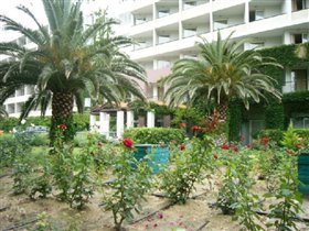 Грекотель Пэлла Бич