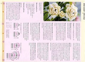 схема к белым розам