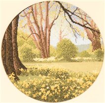 Daffodil Wood - Нарциссы