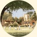 Sunday Cricket - Воскресный крикет